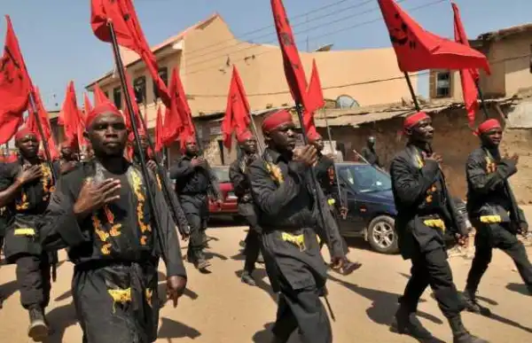Lawyers petition US embassy, say Shi’ites are threat to peace in Nigeria